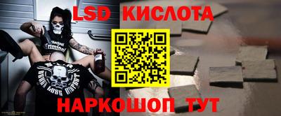 стаф Гай