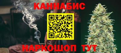 стаф Гай