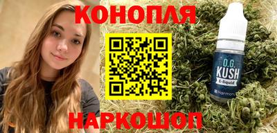 стаф Гай