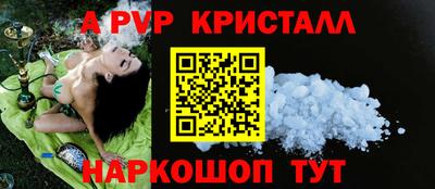 стаф Гай