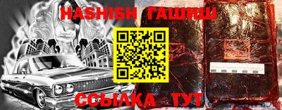 стаф Гай