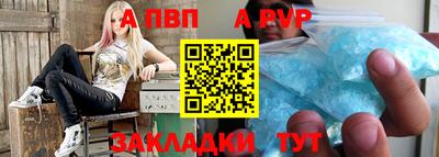 стаф Гай