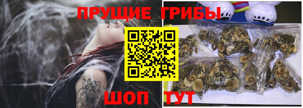 Галлюциногенные грибы GOLDEN TEACHER  Вход с VPN  Горячий Ключ 