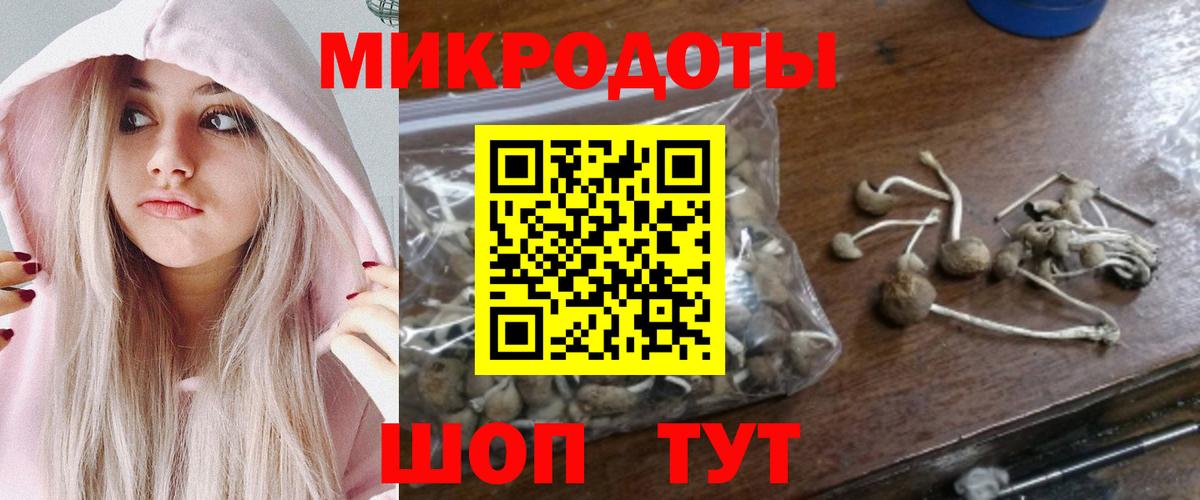 Псилоцибиновые грибы Psilocybine cubensis Горячий Ключ